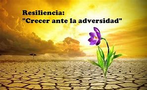 Image result for resiliencia